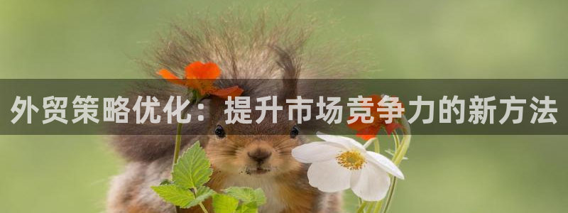必赢网址手机主页打不开