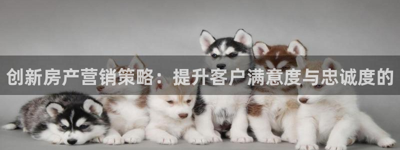 必赢集团网站首页