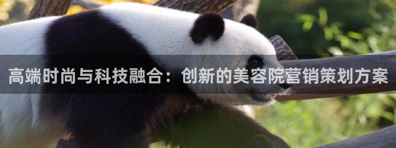 必赢官网网站入口网址