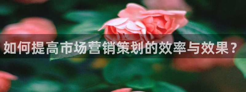 必赢516net怎么进