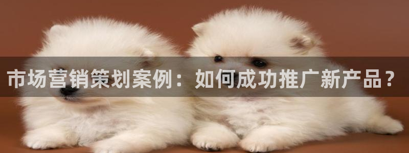 必赢手机app下载 最新版苹果