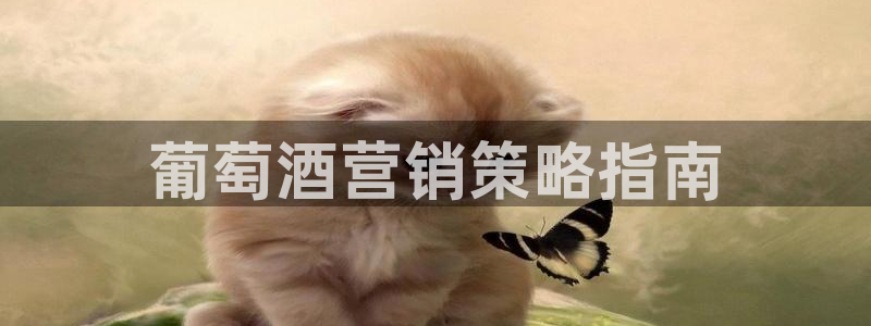 必赢516net怎么进