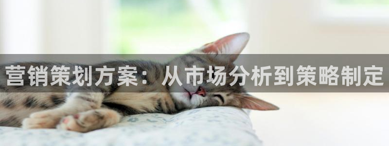 必赢下载地址