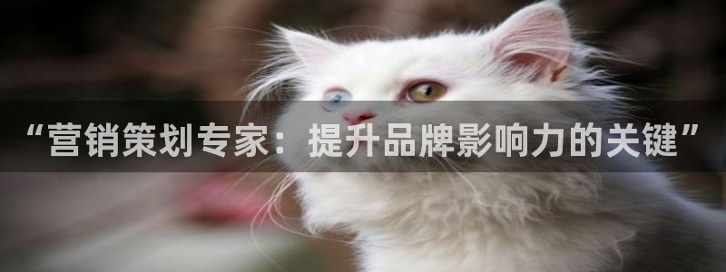 9965必赢游戏网址