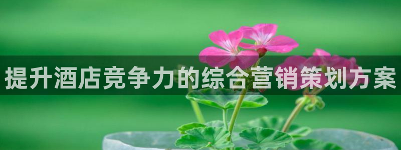 56.nt必赢官网