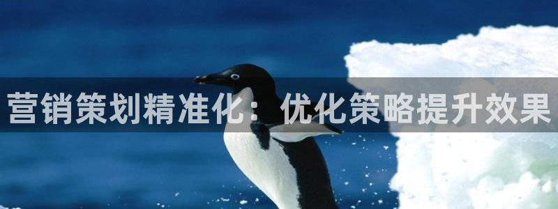 必赢国际怎么样