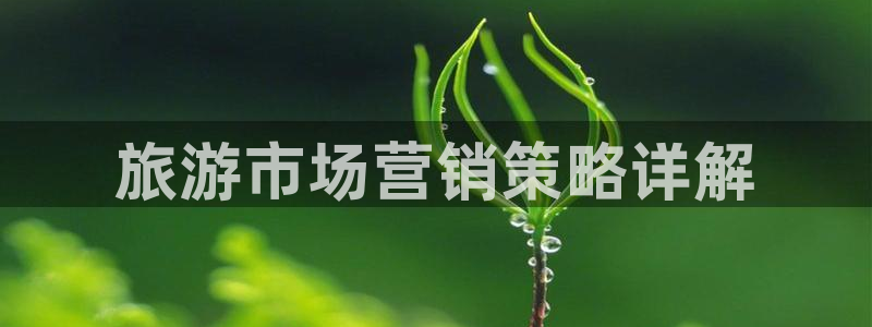 必赢手机app下载安装