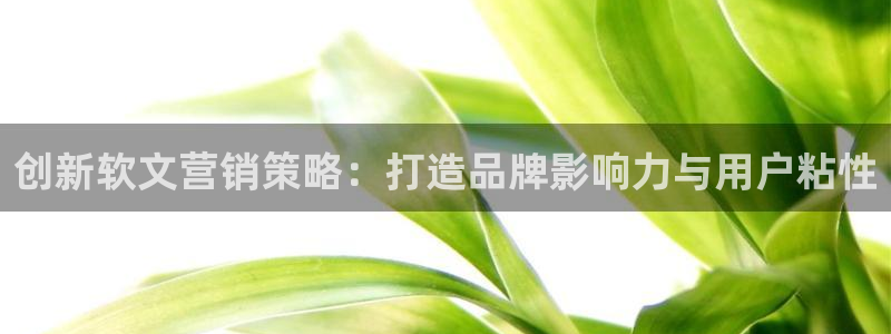 必赢3003+会员账号