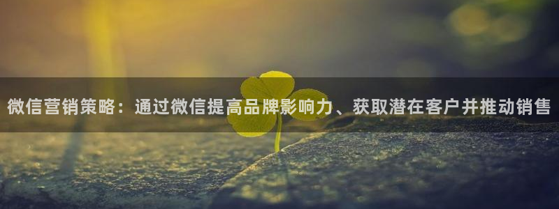 必赢网怎么打不开了呀