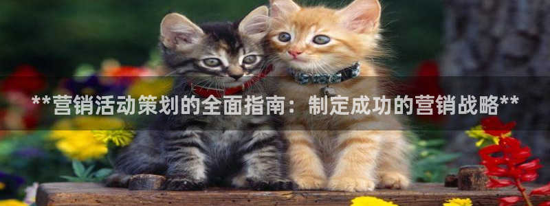 9965必赢苹果下载