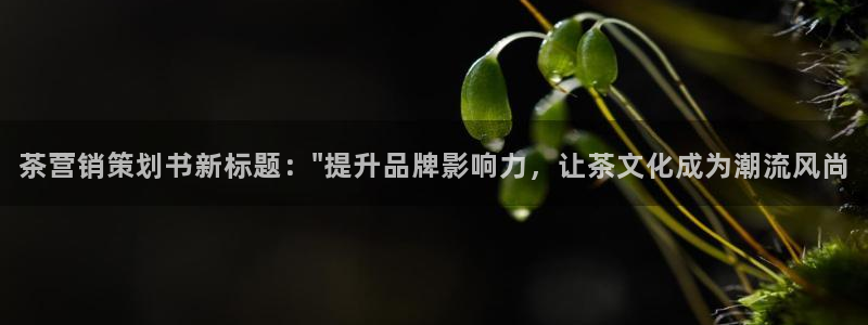 必赢网站