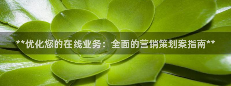 必赢网站平台登录