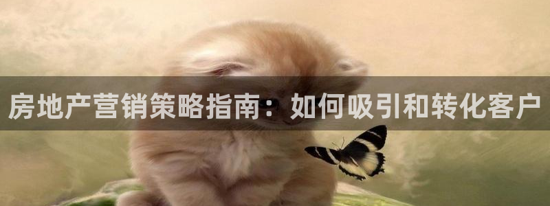必赢手机版