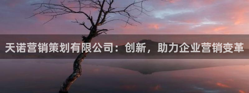 必赢旧网站