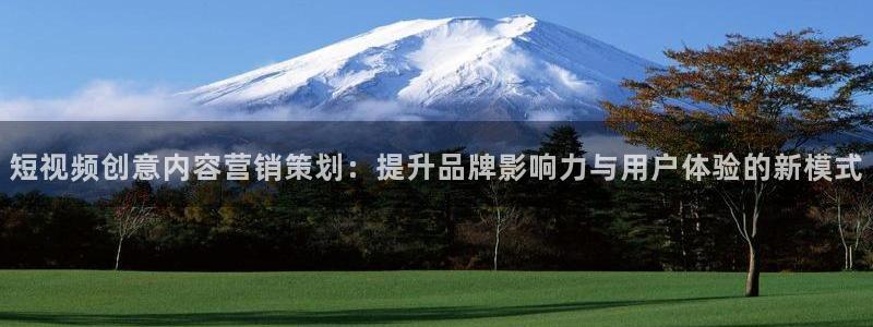 必赢手机app下载安装最新版