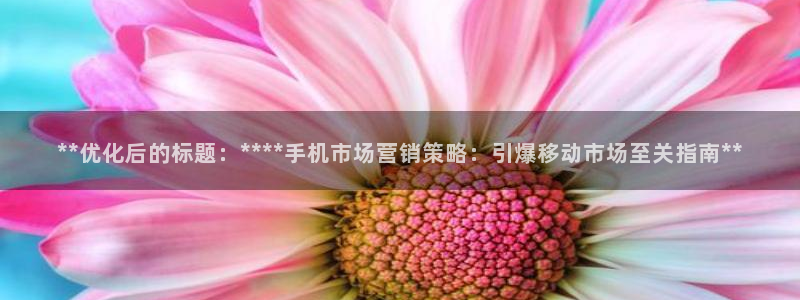 必赢旧网站