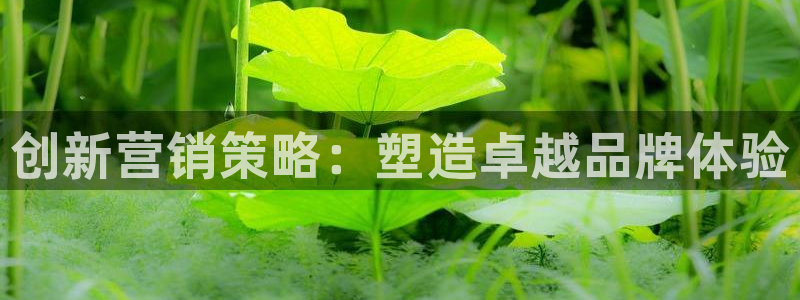 必赢手机app下载安装