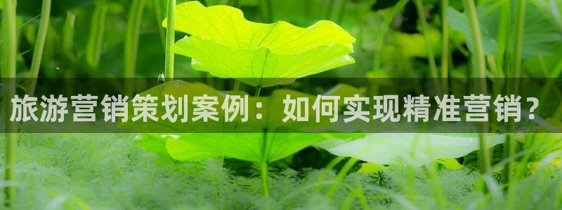 必赢官网入口下载安装手机版