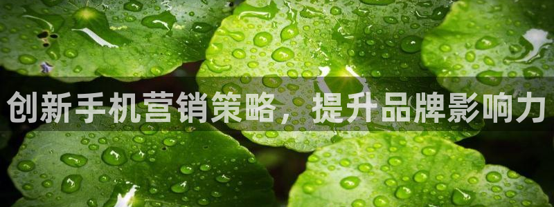 必赢棋脾9655app下载