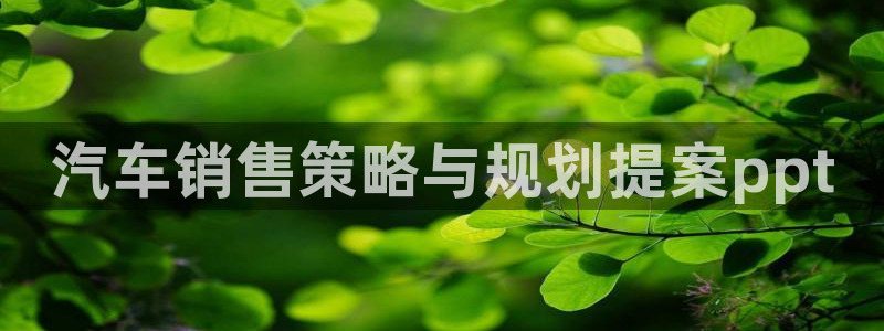 必赢国际437怎么样