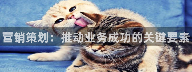 必赢平台官方下载