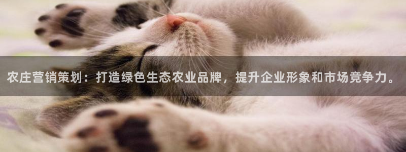 必赢国际苹果怎么下载