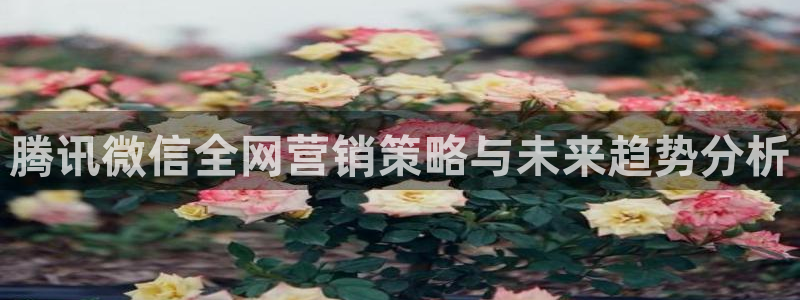 9965必赢游戏app大全