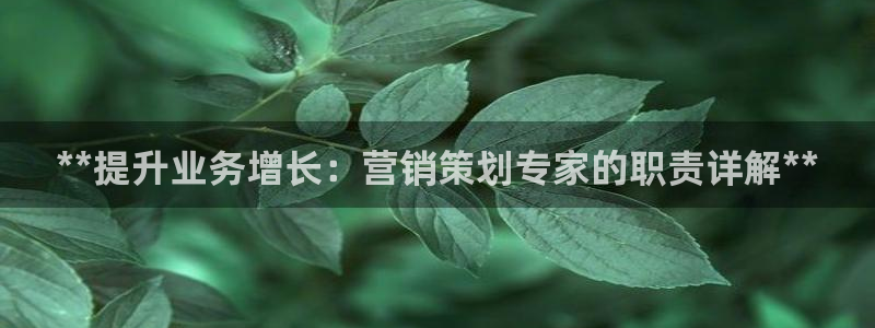 必赢平台官方