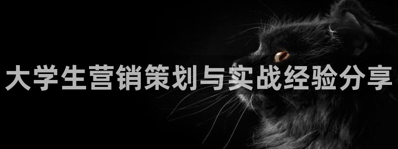 必赢官网app下载苹果手机