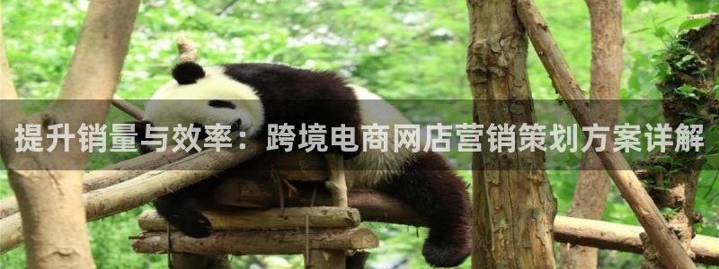 必赢下载ipad