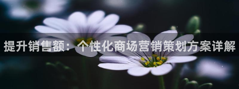 必赢国际app下链接