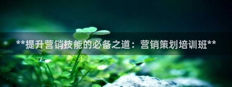 必赢国际437app下载