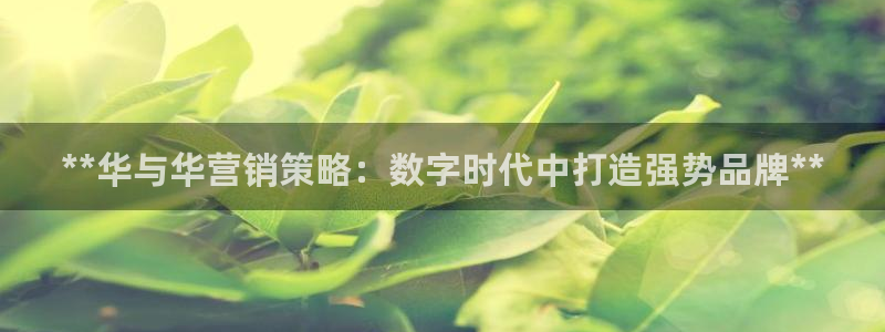 必赢平台官方网站登录