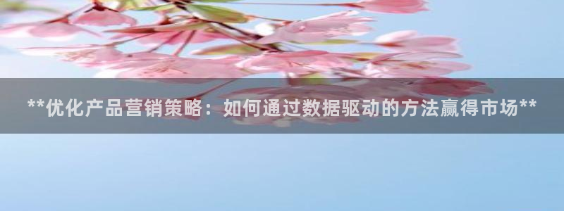 必赢网站打不开