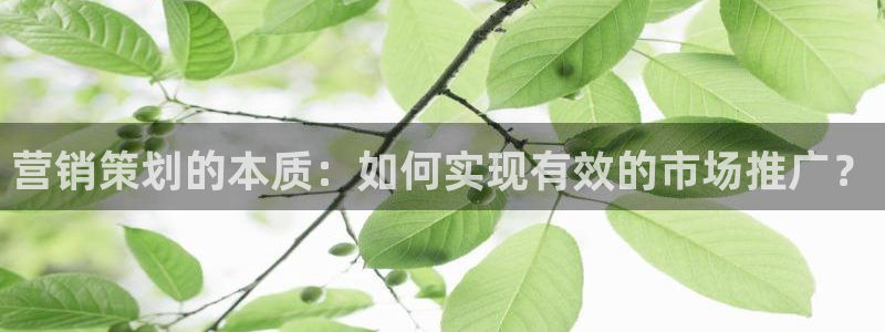 必赢活动安卓下载app