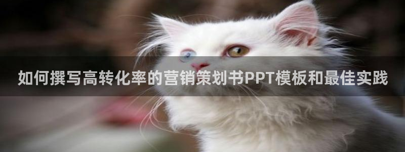 必赢bwinapp