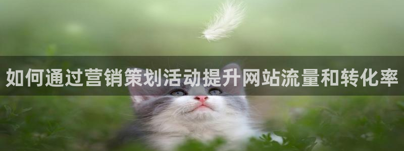必赢766