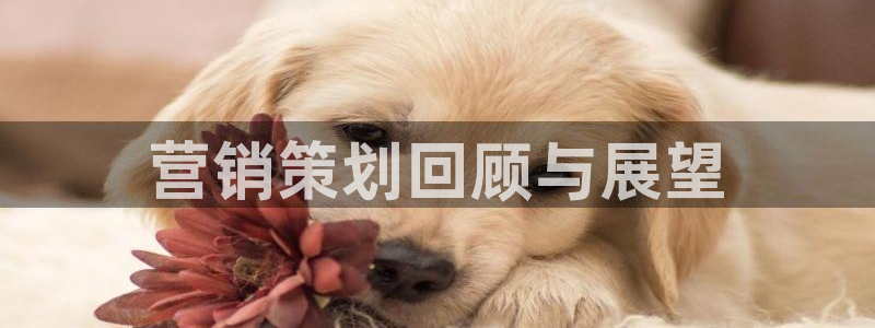 必赢app官方网站