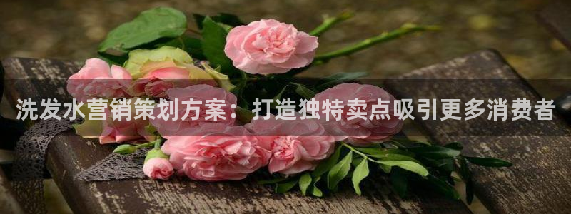 必赢网站打不开
