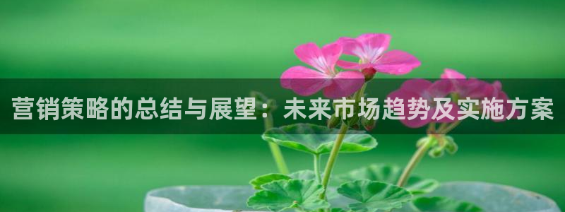 必赢官网网站入口