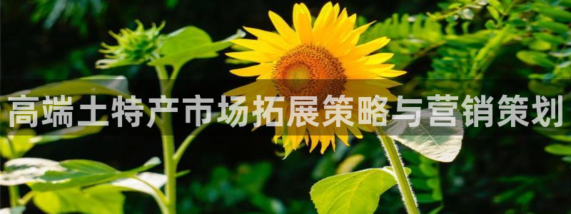 必赢平台怎么样可靠吗