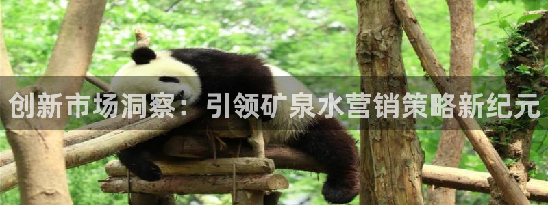 必赢线上网址