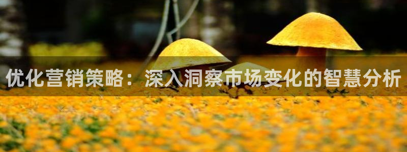 必赢下载安卓版最新版