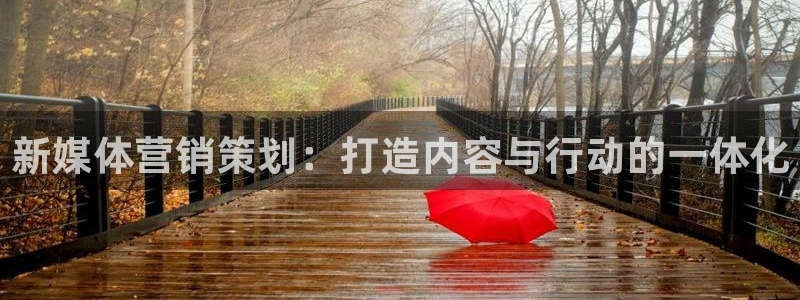 必赢下载ipad