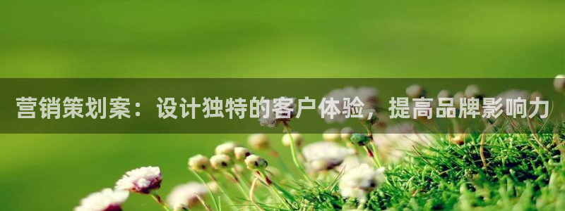 必赢网站mg冰球突破豪华版