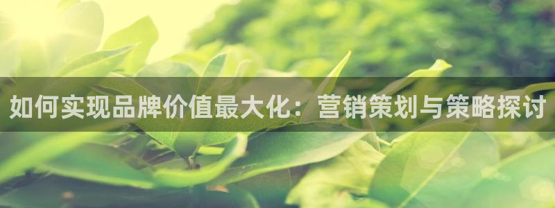 必赢客安卓版