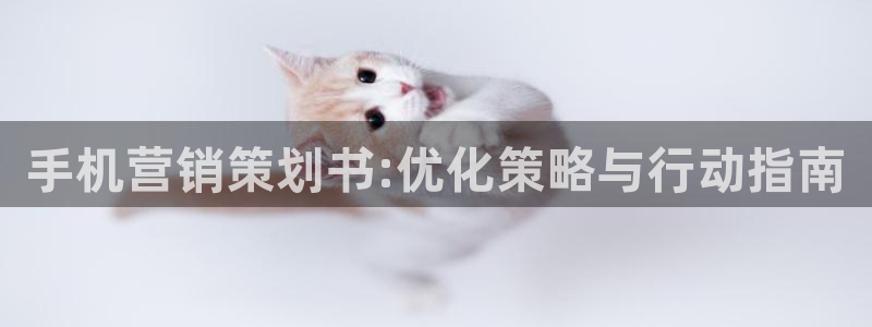 必赢手机app下载官网最新版