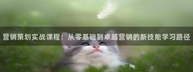 必赢官网网站入口网址