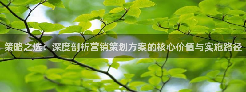 必赢766