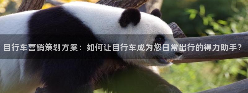 必赢官网网站首页下载